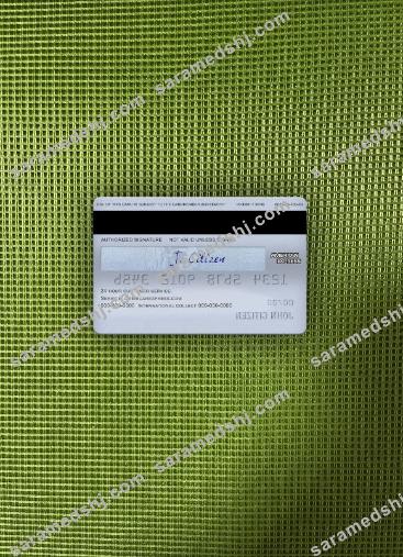USA Chase bank AMEX platinum card photolook back